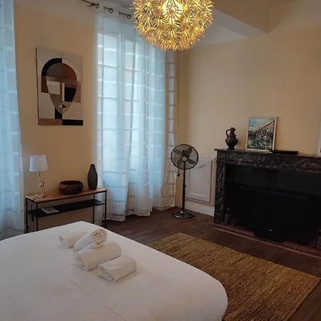 L'hotel Particulier, 120m2, Hypercentre, Wifi / Conciergeriedamecarcas *